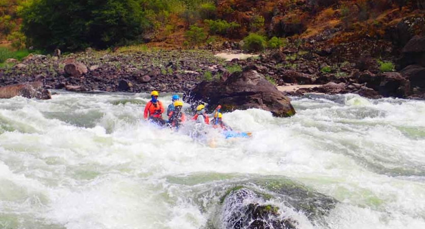 a group of adult students use paddles to navigate whitewater on an outward bound course